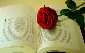Otwarta książka i róża