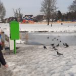 Przedszkolaki dokarmiają ptaki