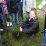 sadzenie drzewek przy szkole