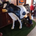 Dziewczynka doi krowę w Muzeum Mleka w Grajewie