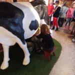 Chłopak doi krowę w Muzeum Mleka w Grajewie