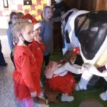 Dziewczynka w otoczeniu klasy doi krowę w Muzeum Mleka w Grajewie