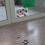 Przyklejone do podłogi ślady kocie prowadzące do drzwi biblioteki szkolnej