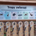 Tropy zwierząt - tablica informacyjna
