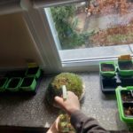 Dziecko zraszaczem nawilża roślinki