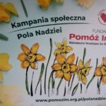 Uczniowie ze Szkolnego Klubu Wolontariusza po raz kolejny posadzili partię cebulek żonkili przysłanych przez Fundację „Pomóż im”