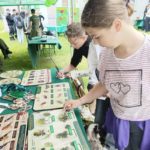 II Festiwal Nauki, Sztuki i Wolontariatu w ZS Nr 2 im. 9. Pułku Strzelców Konnych w Grajewie