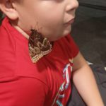 Klasy III a, III b i III c na Wystawie Żywych Motyli