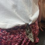 Klasy III a, III b i III c na Wystawie Żywych Motyli