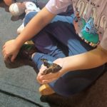 Klasy III a, III b i III c na Wystawie Żywych Motyli