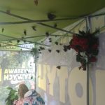 Klasy III a, III b i III c na Wystawie Żywych Motyli