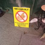 Klasy III a, III b i III c na Wystawie Żywych Motyli