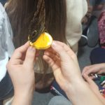 Klasy III a, III b i III c na Wystawie Żywych Motyli