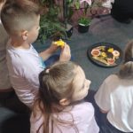 Klasy III a, III b i III c na Wystawie Żywych Motyli