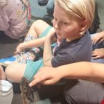 Klasy III a, III b i III c na Wystawie Żywych Motyli