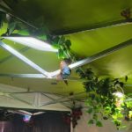 Klasy III a, III b i III c na Wystawie Żywych Motyli