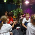 Klasy III a, III b i III c na Wystawie Żywych Motyli