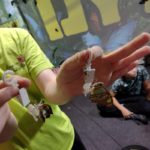 Klasy III a, III b i III c na Wystawie Żywych Motyli