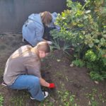 Wolontariusze z SP 4 z opiekunami przygotowali rabatki do akcji „Pola Nadziei”.