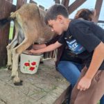 Klasy II c i II d z wizytą na Farmie Mazurskiej