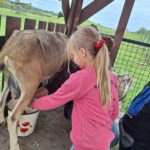 Klasy II c i II d z wizytą na Farmie Mazurskiej