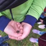 Klasy II c i II d z wizytą na Farmie Mazurskiej