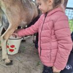 Klasy II c i II d z wizytą na Farmie Mazurskiej