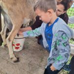 Klasy II c i II d z wizytą na Farmie Mazurskiej