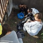 Wolontariusze z SP 4 z opiekunami przygotowali rabatki do akcji „Pola Nadziei”.