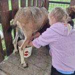 Klasy II c i II d z wizytą na Farmie Mazurskiej