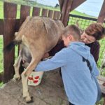 Klasy II c i II d z wizytą na Farmie Mazurskiej