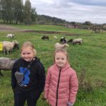 Klasy II c i II d z wizytą na Farmie Mazurskiej