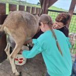 Klasy II c i II d z wizytą na Farmie Mazurskiej