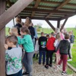 Klasy II c i II d z wizytą na Farmie Mazurskiej