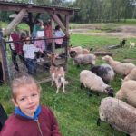 Klasy II c i II d z wizytą na Farmie Mazurskiej