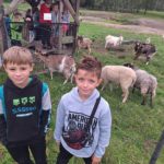 Klasy II c i II d z wizytą na Farmie Mazurskiej