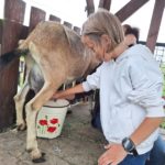 Klasy II c i II d z wizytą na Farmie Mazurskiej