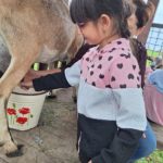 Klasy II c i II d z wizytą na Farmie Mazurskiej