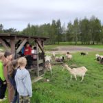 Klasy II c i II d z wizytą na Farmie Mazurskiej