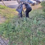 „Sprzątanie świata” z wolontariuszami