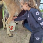 Klasy II c i II d z wizytą na Farmie Mazurskiej