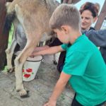 Klasy II c i II d z wizytą na Farmie Mazurskiej