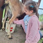 Klasy II c i II d z wizytą na Farmie Mazurskiej