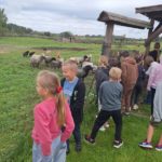 Klasy II c i II d z wizytą na Farmie Mazurskiej