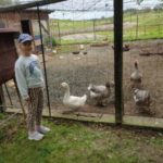 Klasy II c i II d z wizytą na Farmie Mazurskiej