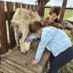 Klasy II c i II d z wizytą na Farmie Mazurskiej