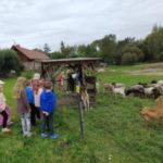 Klasy II c i II d z wizytą na Farmie Mazurskiej