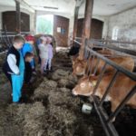 Klasy II c i II d z wizytą na Farmie Mazurskiej