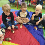 Dzień Jeża w grupie „Słoneczka”