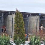 „Pomagamy bezdomnym zwierzętom przetrwać srogą zimę”- wolontariusze w kolejnej akcji!